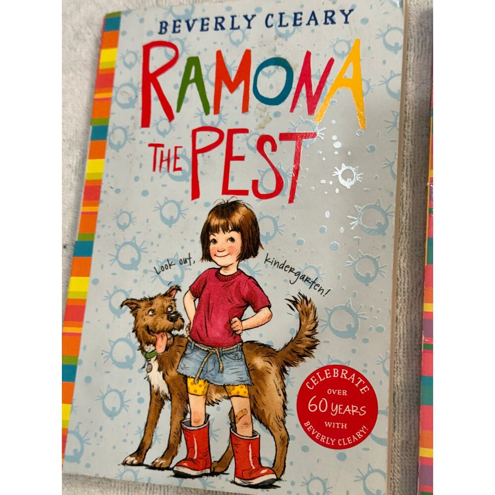 Chapter book bundle for kiddos - Picture 4 of 7